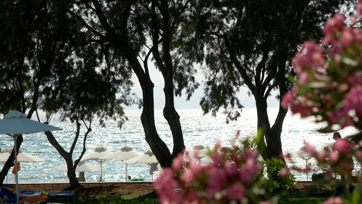 Kalimera Kriti Hotel & Village